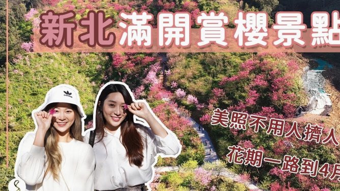 携程旅行拿去花使用技巧