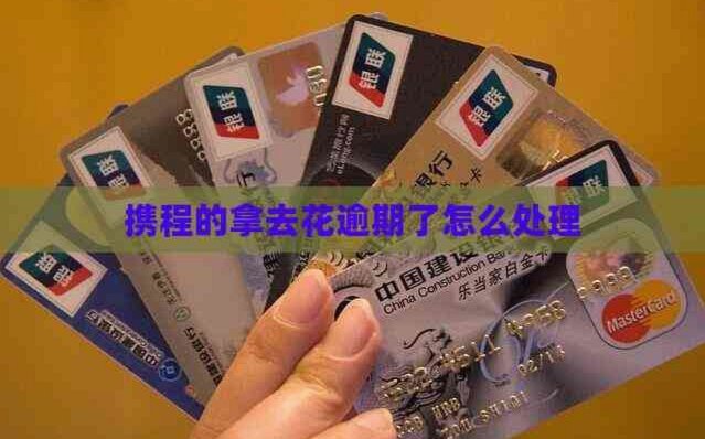 携程旅行里的拿去花怎么用