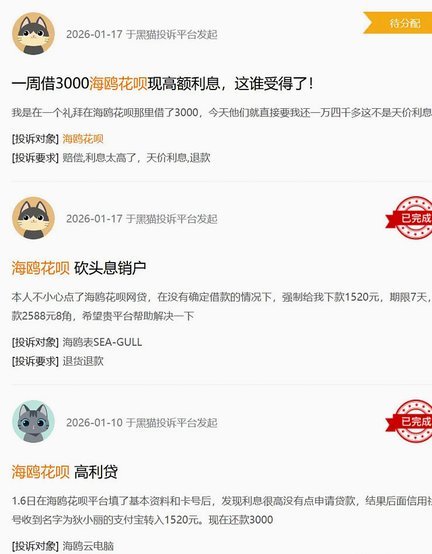 海鸥花呗平台费用解析
