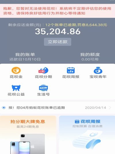 海鸥花呗平台 出来多少钱
