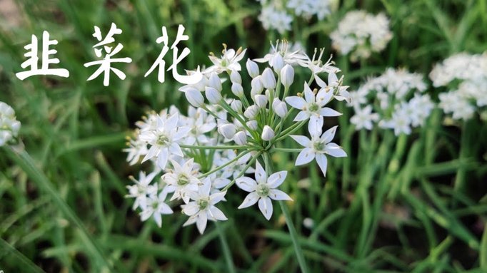 花呗：合法、安全又可靠？