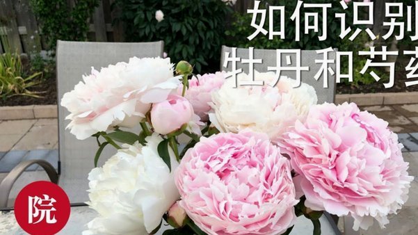 花呗这个平台合法吗安全吗可靠吗