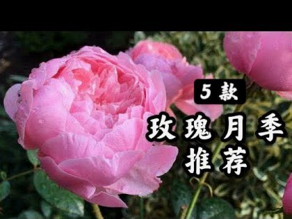 如何将花呗资金转为支付宝现金