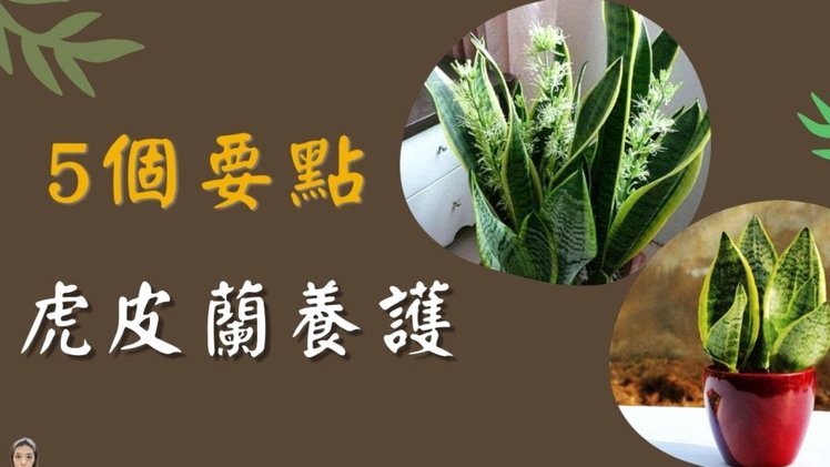 花呗分期套现还款攻略