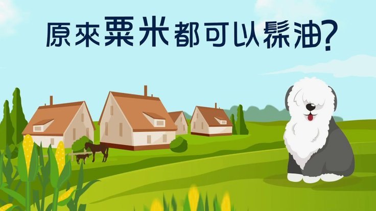 白条取现时间有多长？