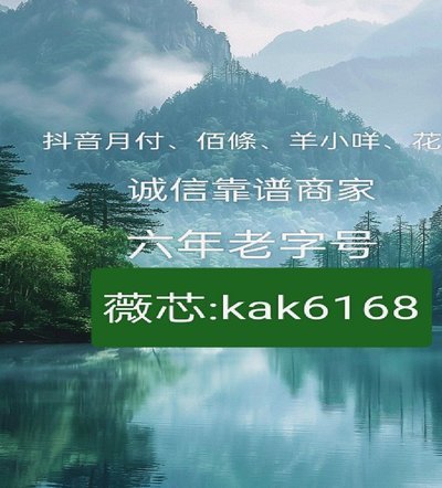 白条使用与风险应对