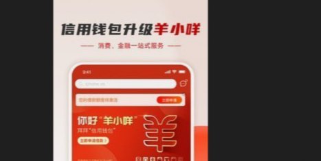 羊小咩网贷：高风险与高额授信的博弈