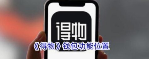 得物额度在哪里
