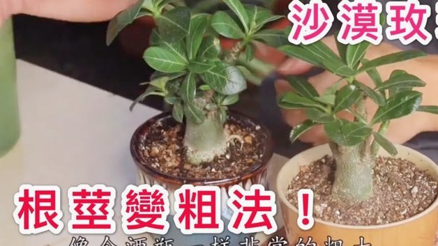关于花呗分期付款套现的风险和真相