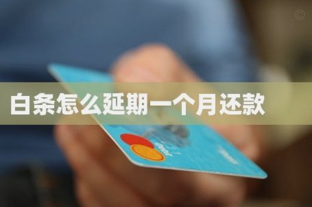 白条逾期如何秒批协商延期