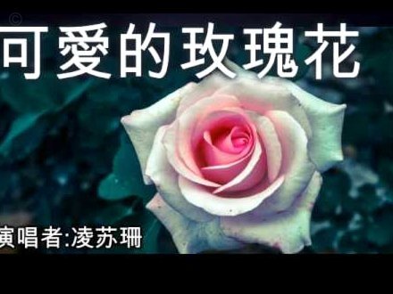 花呗的平台电话