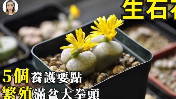拿去花怎么取现