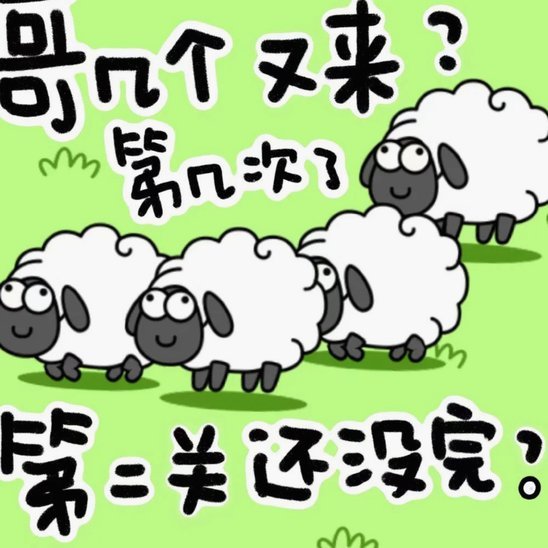 羊小咩自营发货地揭秘：多区域动态布局