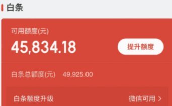 白条联系人查询及管理指南