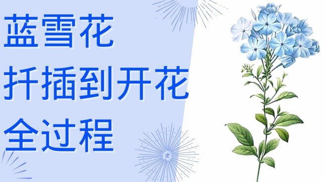 携程“拿去花”怎么用？
