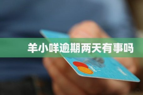 羊小咩借款额度为何缺失？