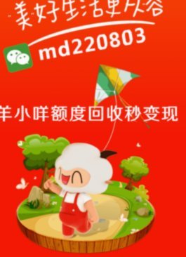 羊小咩还款问题详解：高效安全的解决方案