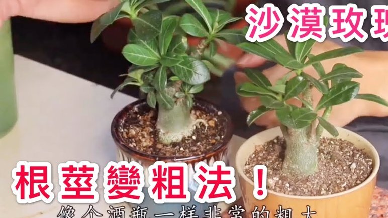花呗提现费用知多少？