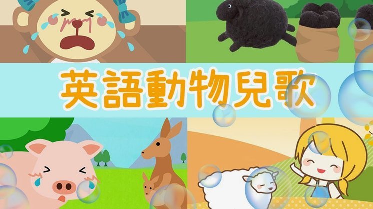 羊小咩催收电话是哪里的