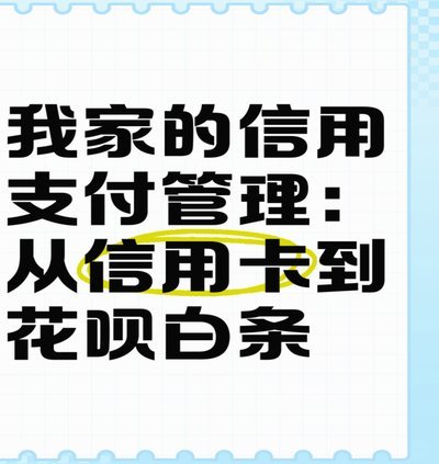 白条秒批：便捷支付背后的科技与挑战