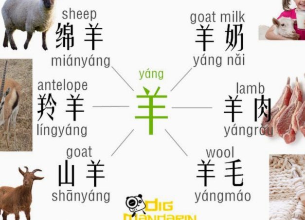 羊小咩分期购物上征信吗
