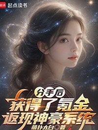 爱恨情仇与返现机制的交织：奇恋小说解析
