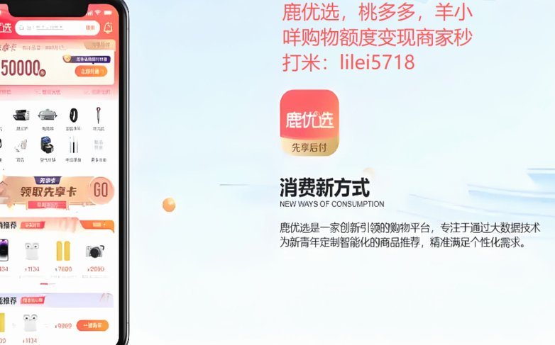 鹿优选额度申请：平台评估与用户影响