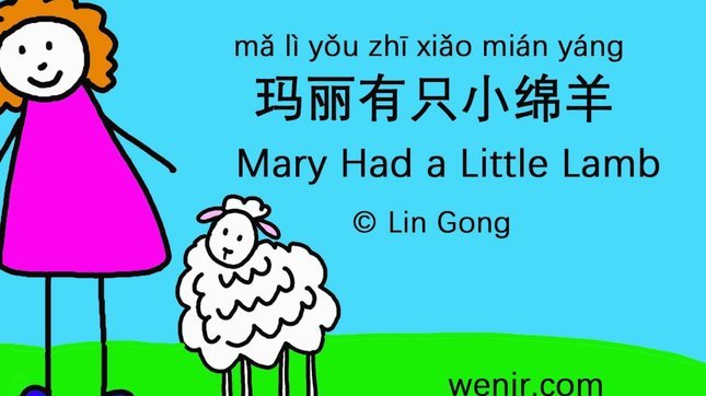 羊小咩的正规性考验