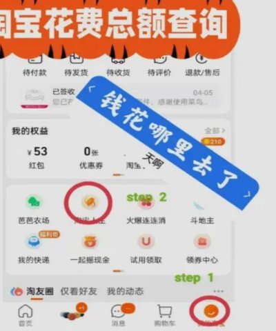 拿去花怎么查