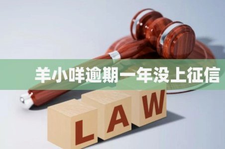 羊小咩逾期会影响征信吗？
