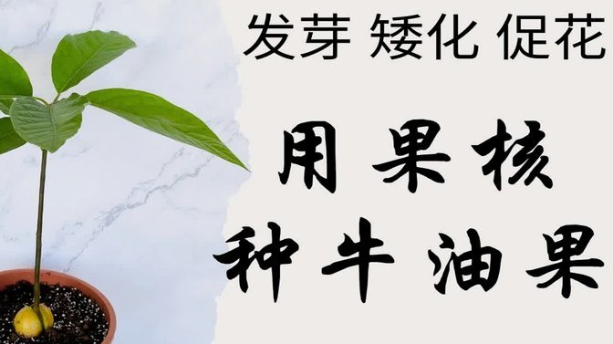 羊小咩购物额度怎么回收取现使用技巧大公开