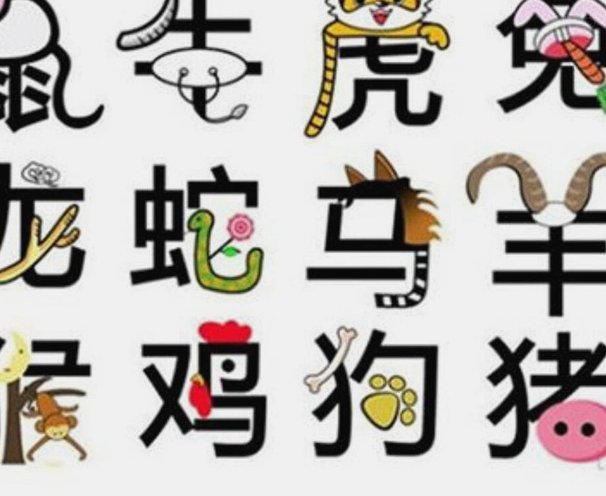 知识社交，萌系而来